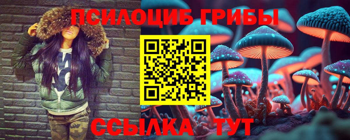 Псилоцибиновые грибы мухоморы Павловский Посад