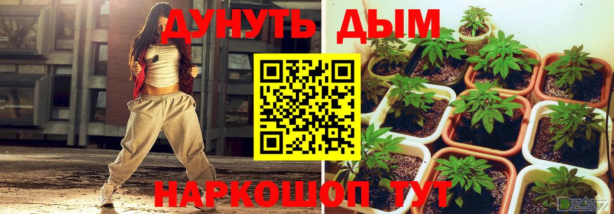 Бошки марихуана Bruce Banner Павловский Посад