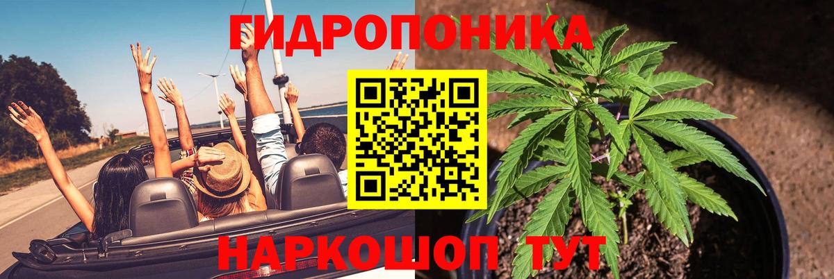 Шишки марихуана Amnesia  Марихуана гибрид  Вход с VPN  Павловский Посад  Марихуана гибрид 